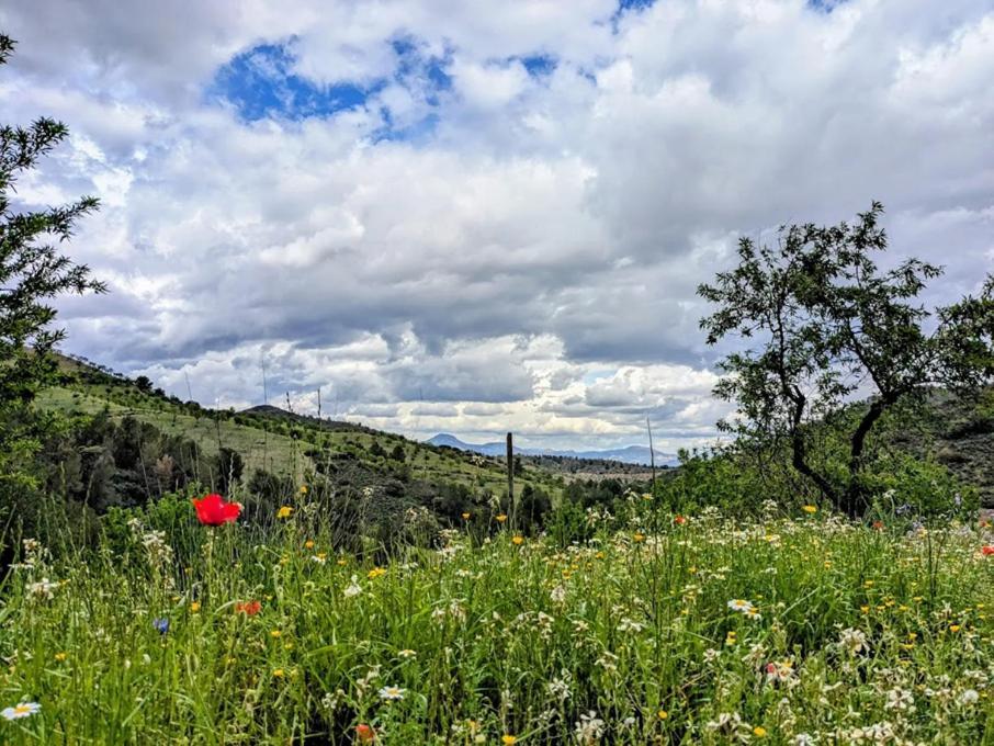 לורקה Nature Home Maitreya מראה חיצוני תמונה